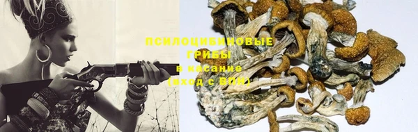 дмт Семикаракорск