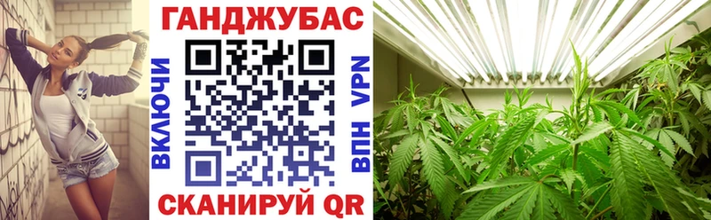 Бошки марихуана AK-47  Купить где  Хасавюрт 